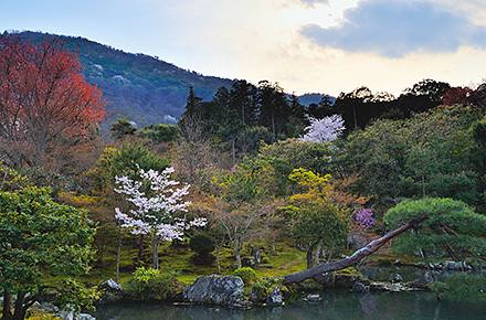 Japanese Garden, Kyoto