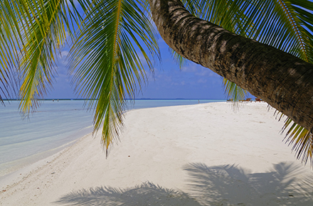 Maldives Beach
