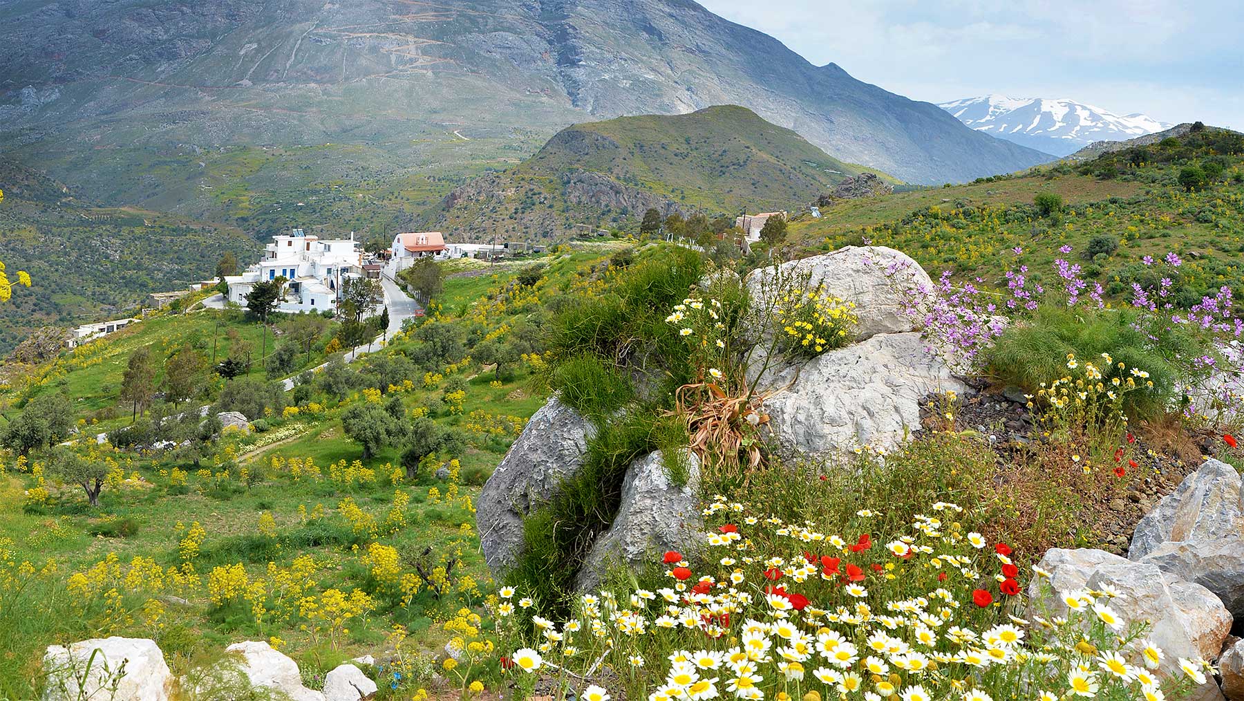 Saktouria Crete Greece